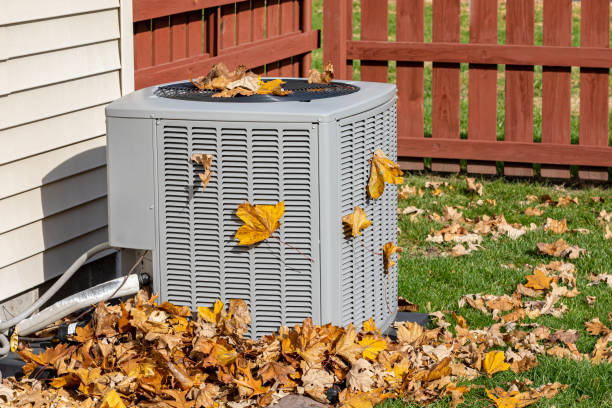 Best Local HVAC Companies  in Palo, IA